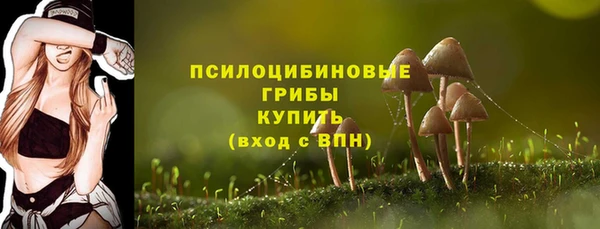 Альфа ПВП Зеленокумск