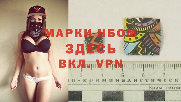 Альфа ПВП Зеленокумск