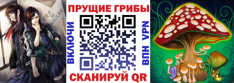 Псилоцибиновые грибы мицелий  Купить  Светогорск 